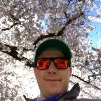 60+ "Elledge" profiles