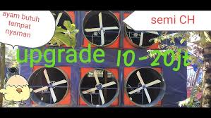 Sementara itu, emas batangan ukuran 0,5 gram dilego pada harga rp530.000, sedangkan emas ukuran 2 gram bersertifikat antam dihargai rp1,86 juta. Harga Telur Ayam Ras Hari Ini Senin 21 Juni 2021 Youtube