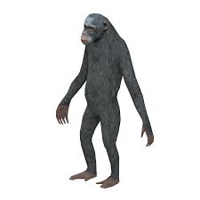 3840 x 2400 jpeg 305 кб. Monkey 3d Model Free Download Creazilla