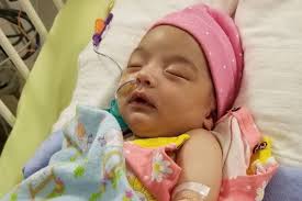 Fundraiser for Vanessa Del Castillo by VARUN DHINGRA : Janessa Violet's  Recovery