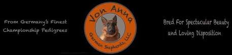 The german shepherd, named by the queen of switzerland, was first recognized as a member of the akc herding group in 1908, although max von stephanitz and his. Quality Show Bred German Shepherd Puppies At Von Anna German Shepherds