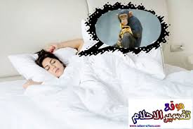 رجل فقير محروم قد سلبت نعمته قيل أنه من الممسوخ وهو مكار صخاب لعاب ويدل أيضاً على اليهودي.ومن رأى أنه حارب قرداً فغلبه أصابه مرض وبرئ منه، وإن كان ØªÙØ³ÙŠØ± Ø­Ù„Ù… Ø±Ø¤ÙŠØ© Ø§Ù„Ù‚Ø±Ø¯ ÙÙŠ Ø§Ù„Ù…Ù†Ø§Ù… Ù„Ø§Ø¨Ù† Ø³ÙŠØ±ÙŠÙ†