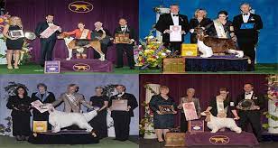 Gail miller bisher, the westminster kennel club's director of communications and fox sports' television analyst for the westminster dog show, has the scoop on the changes pet. Westminster Dog Show 2021 Judges Details