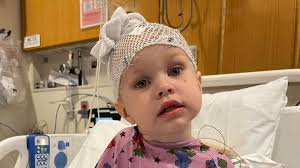 Fundraiser by John Schmidt : Ellie Strong