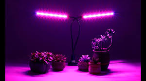 Shengsite 20 Watt Led Grow Light On Our Hydroponic Succulent Bed Youtube