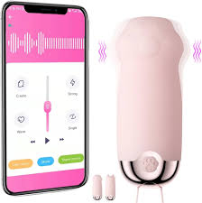 Oeuf vibrant Chat griffe APP vibrateurs jouets sexuels Pour femmes g-spot  Machine sexuelle télécommande femmes masturbateur oeufs vibrants produits  de boutique de porno : Amazon.fr: Hygiène et Santé