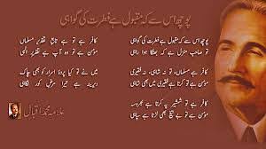 Chak no 42 Mutmals grops‎