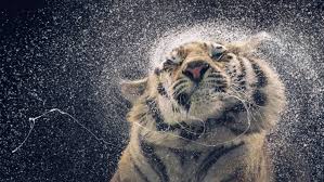 We have a massive amount of desktop and mobile backgrounds. 101 Awesome Wallpapers To Download For Your Desktop
