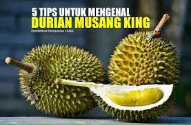 Durian yang satu ini merupakan jenis durian terbaik yang memiliki cita rasa sangat lezat di lidah. Tips Info Ciri Ciri Durian Musang King Mykebun Community Facebook