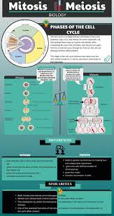 Click On The Image To View The High Definition Version Create Infographics At Http Venngage Com Biology Infographic Infographic Biology Lessons
