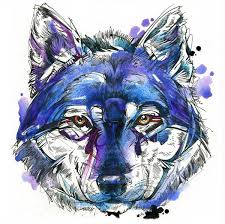 Indigo Wolf By Finchfight On Deviantart Wolf Art Print Watercolor Wolf Wolf Art