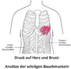 Verschiedene Arten Von Druck Auf Der Brust