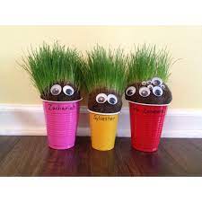 Pin By Paperandthepea On Kid Activities Chia Pet Planting For Kids Craft Activities For Kids