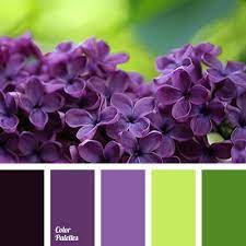 Color Palette 3237 Color Palette Ideas Purple Color Schemes Purple Color Palettes Paint Color Schemes