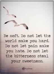 Be Soft Do Not Let The World Make You Hard Quote Pin On Real