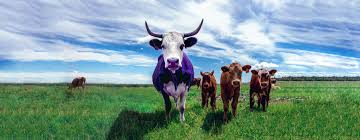 To find its audience, a product must stand out—like a giant purple cow in a field of boring brown cows. The Purple Cow By Seth Godin Ideas For A Unique Product Labelado Labelado