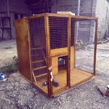 Persiapan kami untuk seekor jer laa masa beli cage. Rumah Kucing Besi Price Promotion Jun 2021 Biggo Malaysia