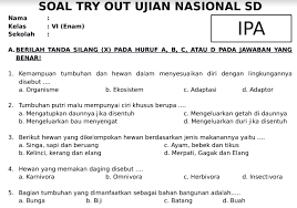 Soal try out primagama kelas 6 2019. Contoh Soal Try Out Sd