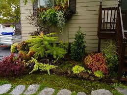 Afficher Le Sujet Jardin De Mousse Jardin De Mousse Plate Bande Deco Jardin