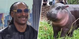 Jimmy Kimmel enlists Tom Brady to prank Matt Damon