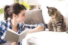 koshka s hozyajkoj animal behavior college cats animals