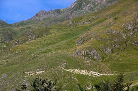 Balade Au Port De Salau Ariege Natural Landmarks Travel Nature