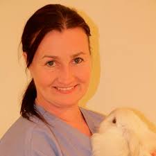 FASAVA Congress 2017: Full Schedule