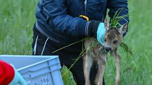 Wagenknecht und lafontaine sagen ja. Fjutnqgmben1zm