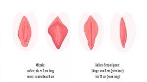 Vagina Grosse Bin Ich Eigentlich Normal Wmn