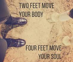 Two Feet Move Your Body Four Feet Move Your Soul Horseriding Horserider Equine Two Feet Move Your Body Four Feet Move Your Soul Horse Quote Horse Riding Quotes Horse Quotes Inspirational Horse Quotes