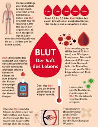 Kinderleicht Erklart Wieso Ist Blut Eigentlich Rot Apropos Gesund