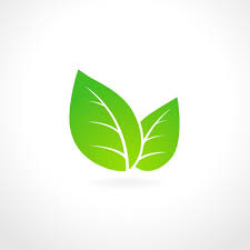 Savesave logo daun for later. 24 Ide Logo Daun Daun Desain Logo Desain