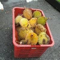 Shah alam merupakan ibu negeri shah alam dan juga lokasi idaman bagi mereka yang berkeluarga untuk membeli rumah pertama mereka. Jabatan Perhilitan Shah Alam Shah Alam