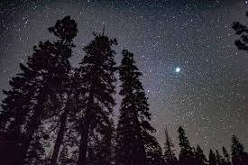 We also have iphone and android games Wallpaper Starry Sky Trees Night Stars Glitter Radiance Hd Widescreen High Definition Fullscreen