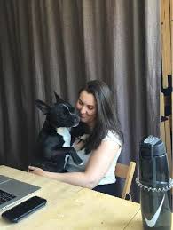 Cat boarding close to me. Dog Cat Hotel Home Pet Boarding In Unsure The Hague South Holland Take A Chance On Me Gimme Gimme Your Dog Petbacker