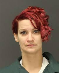 Edgewater man sexually assaulted, robbed woman, prosecutor says