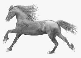 Über 7 millionen englischsprachige bücher. Figure Mare Mustang Horse Sorrel Black And Character Wild Horses Transparent Background Hd Png Download Kindpng