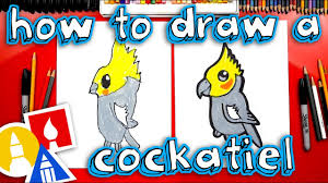 たえ on 女の子 anime art manga art illustration art. How To Draw A Cartoon Cockatiel Youtube
