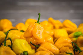 It contains the likes of jalapeños and cayenne peppers which many with milder tastes find very spicy. The 22 Hottest Peppers In The World
