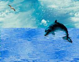 Dolphin Jumping Over Shimmering Sea Blue Ocean Water Animated Sea Gif Dolphin Shimmer Ocean Wallpaper Ocean Clipart Ocean Pictures