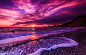 Beautiful pink sunset with beautiful dolphin sunset wallpaper cute wallpaper backgrounds cute wallpapers dolphin images dolphin photos dolphin painting dolphin art toggle navigation wallpaper abyss. Purple Ocean Sunset Wallpaper