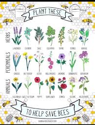 The flowers are covered by not only honey neither do bees like geraniums (actually they are really pelargonium), impatience or marigolds, (i plant marigolds because they help keep nematodes. Flowers For Bees Coolguides