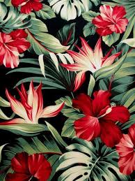 Tropical Birds Of Paradise Wallpaper Fabric Red Hibiscus Floral On Black Tropical Hawaii Bird Of Paradise Flower Last One Yard Bi Birds Of Paradise Flower Tropical Floral Print Bird Wallpaper