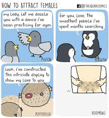 Pin On Oh That Made Me Laugh