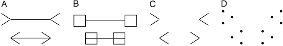 Maybe you would like to learn more about one of these? The Muller Lyer Illusion Explained By The Statistics Of Image Source Relationships Pnas