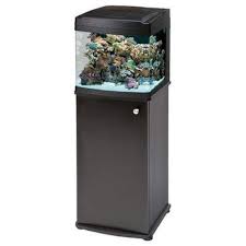 A 10 gallon aquarium is nice choice for aquarists. 8 Best 10 Gallon Fish Tank Stand Ideas For Your Home Reviews Guide