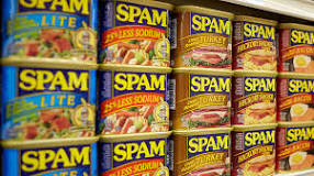 Image result for spam