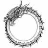 Ouroboros tattoo designs are strong and can match nearly any symbol. Https Encrypted Tbn0 Gstatic Com Images Q Tbn And9gcqy Ztfdeqrsosxx1u Des0zbfa3gv83rbsoxi8d6reymeangyu Usqp Cau