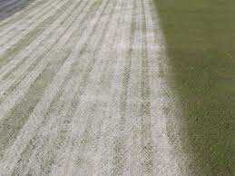 Well offer dry screened topsoil in 20 litre bags. Sand Top Dressing Friend Or Foe Soil Texture 5 Bowls Central