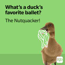 Hilarious Duck Jokes That Fit the Bill | Duck Puns